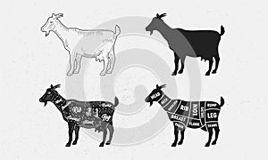 Goat set. Goat silhouette. Goat - butcher diagram template.
