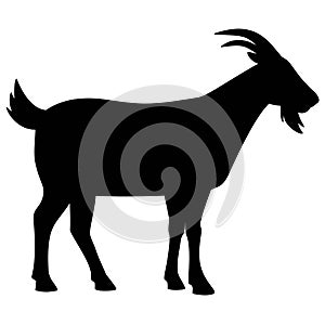 Goat Silhouette