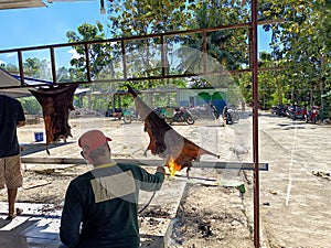 Goat skins are burned over a fire by men during the Eid al-Adha sacrificial ritual