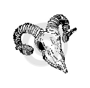 Goat skull pixel art. pixelated Goat head skeleton. 8 bit Vector illustration