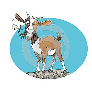 goat with small flower in mouth on rock humorist illustration for kids photo