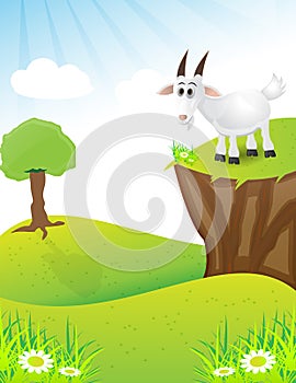 Goat on the top of hill