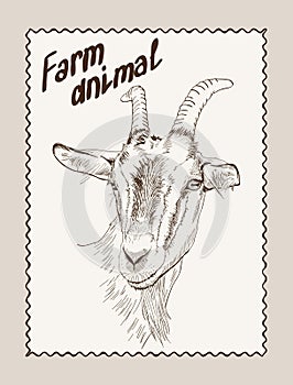 Goat vector hand drawn