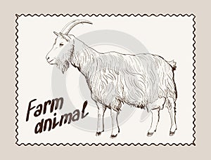 Goat vector hand drawn