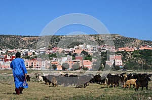Goatherd in Morocco