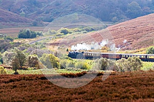 Goathland, North York Moors Steam Railway. photo