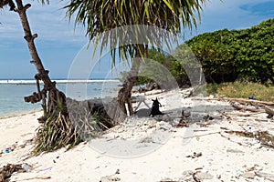 Beach Goats