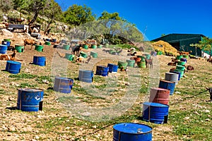 Goats near Algodonales in province Cadiz, Andalusia, Spain photo