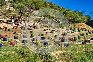 Goats near Algodonales in province Cadiz, Andalusia, Spain photo