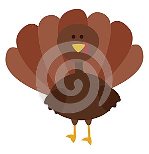 Gobblers/Cartoon picture of the brown Turkey bird isolated white background viewed from the front, vector or color illustration