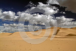 Gobi desert