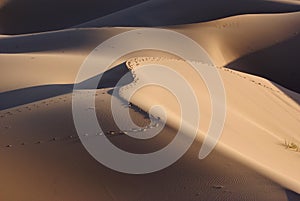 Gobi desert