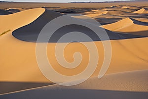 Gobi desert