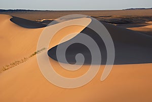 Gobi desert