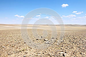 Gobi desert