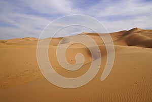 Gobi Desert, Mongolia