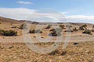 Gobi desert, Mongolia