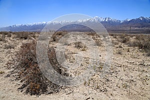 Gobi desert with snow moutains