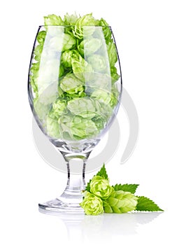 Goblet with hop cones and leaves