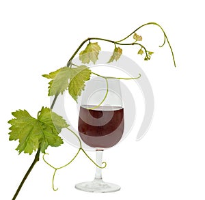 Goblet with red wine