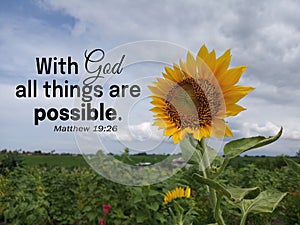 `With God all things are possible.` Matthew 19:26 A Christian bible verse inspirational quote with sunflower in field outdoor.