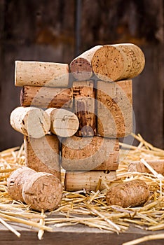 God bless you, mr Bacchus 3