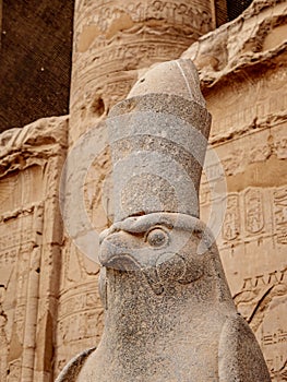 God Horus from the ancient Egyptian civilization statue in the Temple of Horus Edfu Egypt