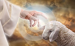 God reaching out to a lost sheep