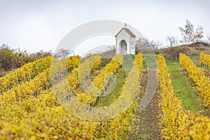 God's torture near Hnanice with autumnal vineyard, Southern Moravia, Czech Republic