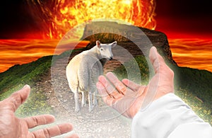 God saves the sheep from hell and calls it to follow him photo