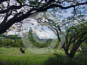 God's Garden in The Lowveld photo