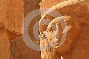 Goddess Hathor