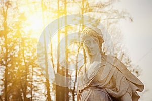 The goddess of love in Greek mythology, Aphrodite Venus in Roman mythology Fragment of ancient statue in sunlight photo