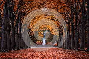 Godollo, Hungary - Narrow alley in Elisabeth park surronded by colorful red and yellow linden trees at autumn