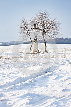 Boží želva u Velké Tŕně, Tokajská oblast, Slovensko