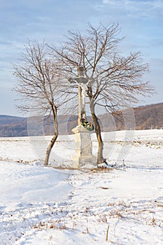 Boží želva u Velké Tŕně, Tokajská oblast, Slovensko