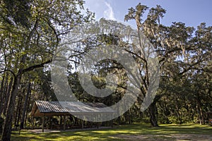 Goethe State Forest in Levy County, Florida