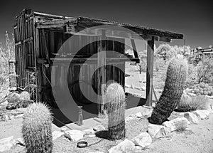 Goffs, California Mojave Desert Museum, infrared