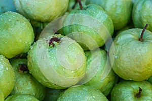 Goiaba,Guava.