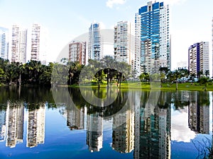 Goiania Parque flamboyant tarde picnick