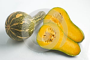 Goianinha Pumpkin. Cucurbita moschata