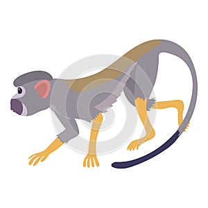 Going forward monkey icon, cartoon style