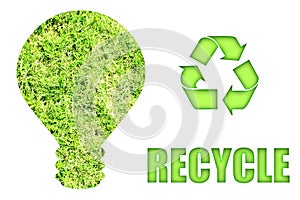 Going Green and Saving Our Planet