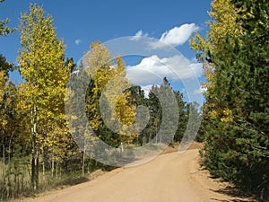 Going for a Sunny Autumn Drive