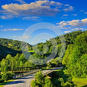 Going to nature throug the bridge