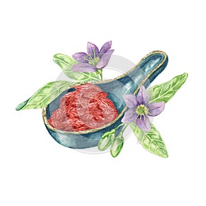 Goji berries in ceramic Asian spoon