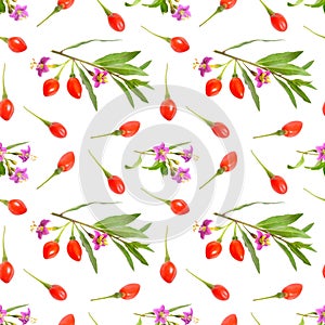 Goji berries or Lycium barbarum with flowers isolated on white background. Seamless background