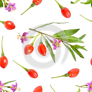 Goji berries or Lycium barbarum with flowers isolated on white background. Seamless background