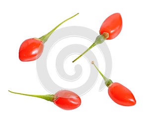 Goji berries or Lycium barbarum isolated on white background.