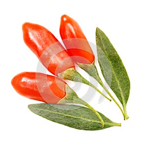 Goji berry